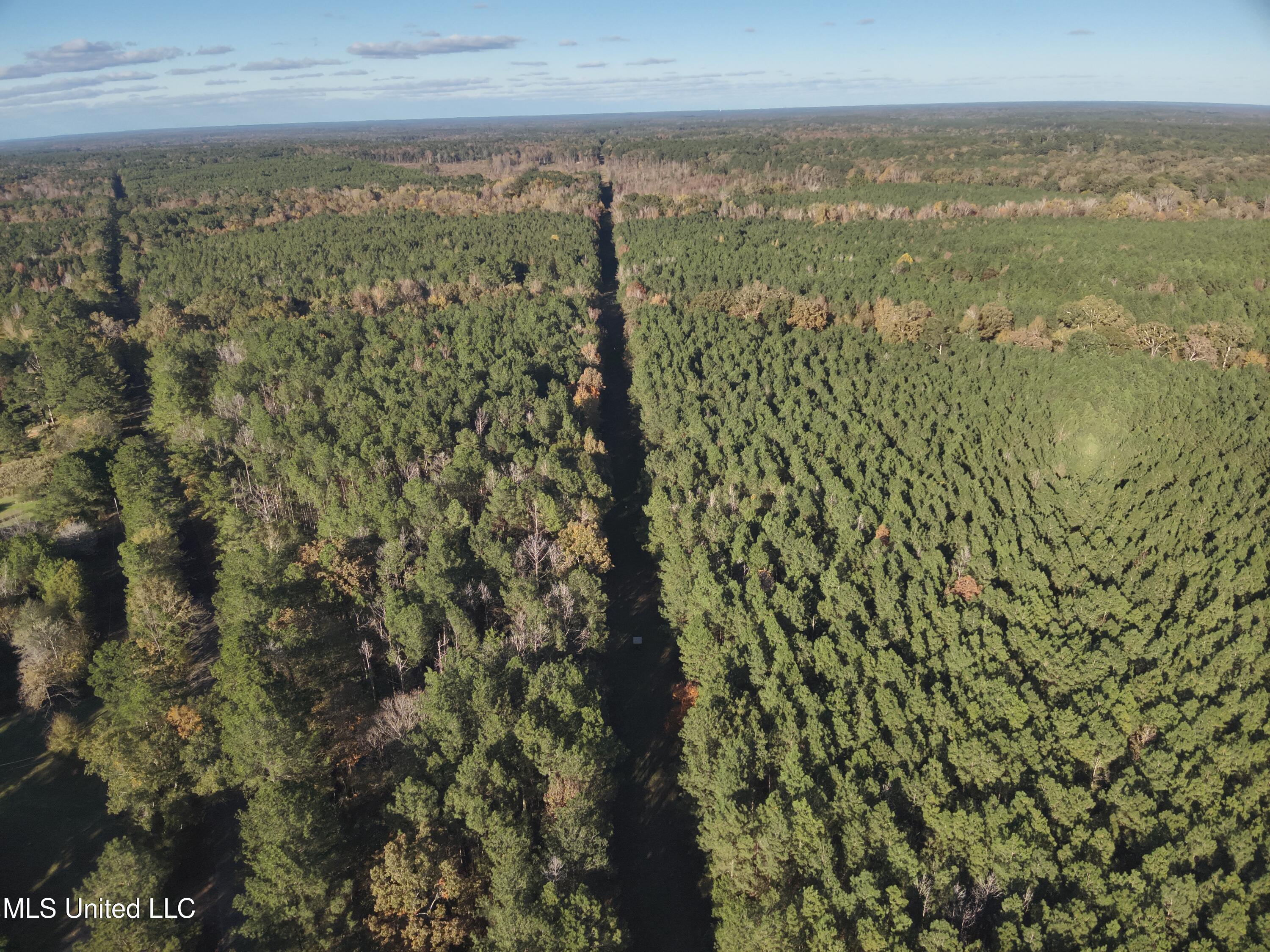 4 Whiddon Road Canton, MS 39046 - Photo 35 of 45 DJI_20251109151906_0003_V