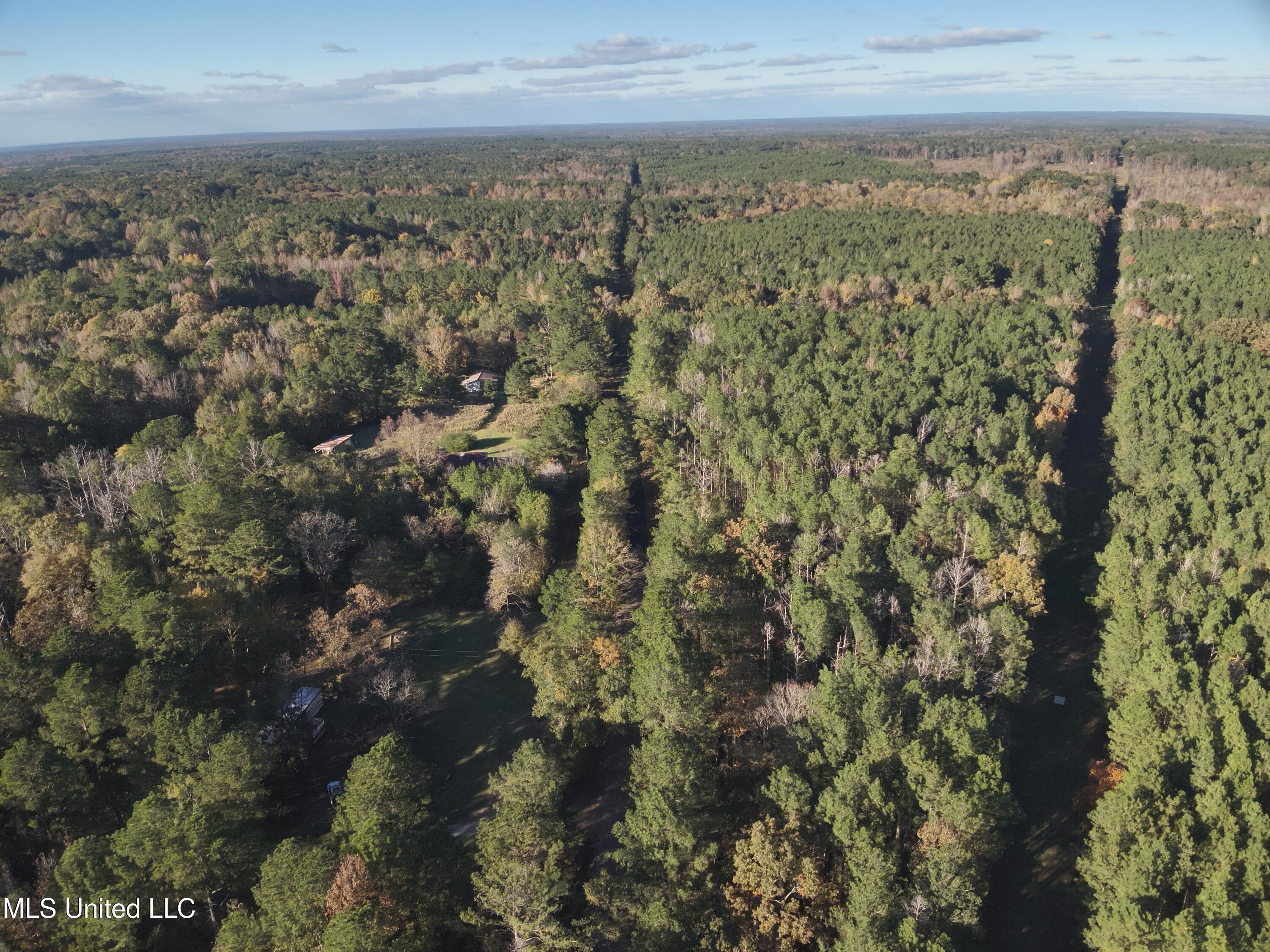 4 Whiddon Road Canton, MS 39046 - Photo 36 of 45 DJI_20251109151908_0004_V