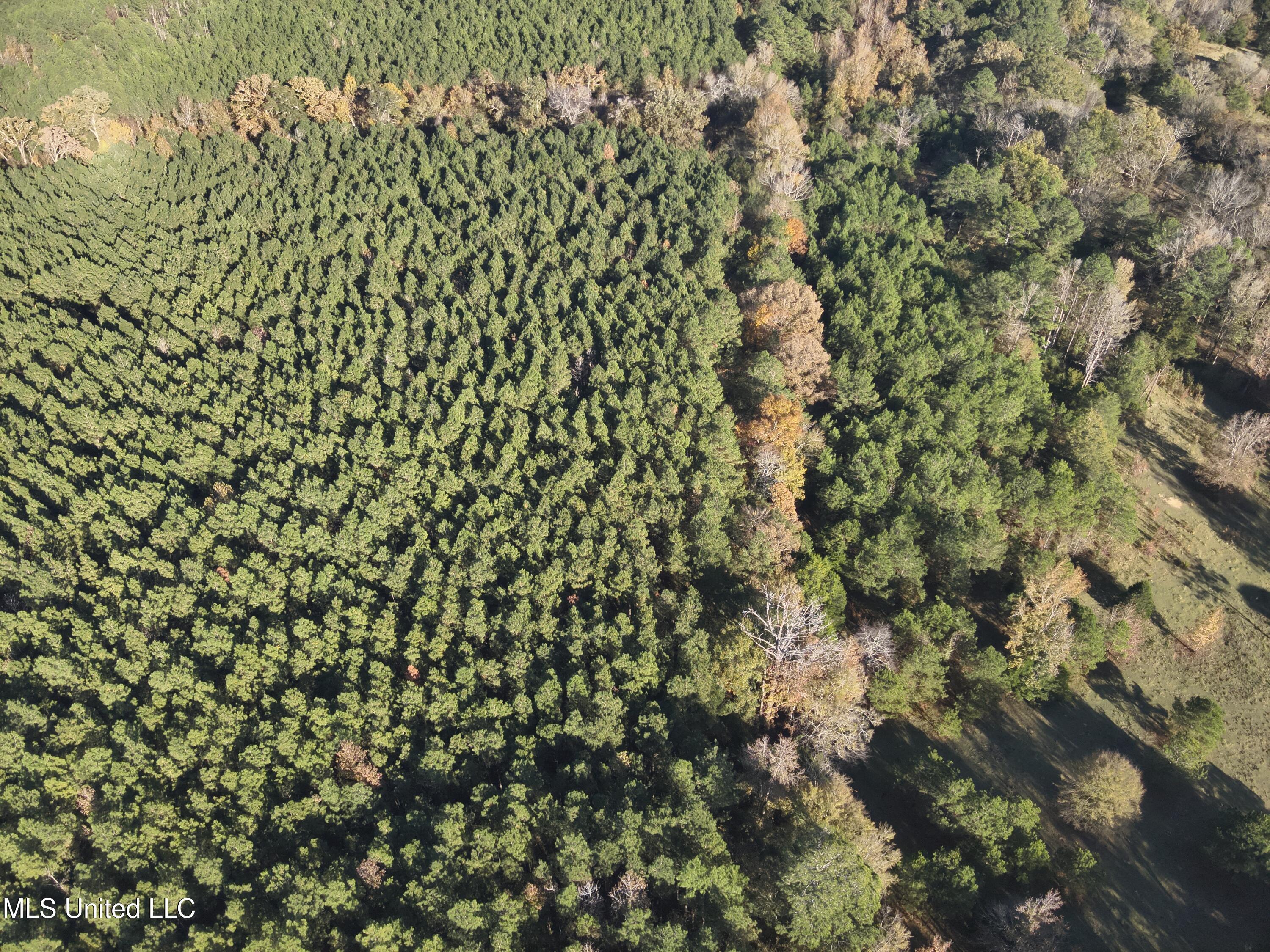 4 Whiddon Road Canton, MS 39046 - Photo 37 of 45 DJI_20251109151917_0005_V