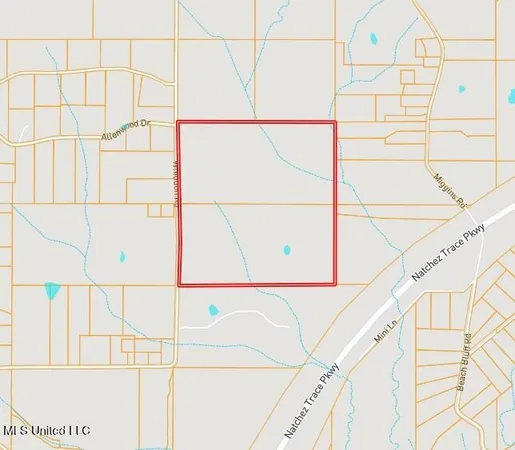 $368,125 | 4 Whiddon Road, Canton, MS 39046