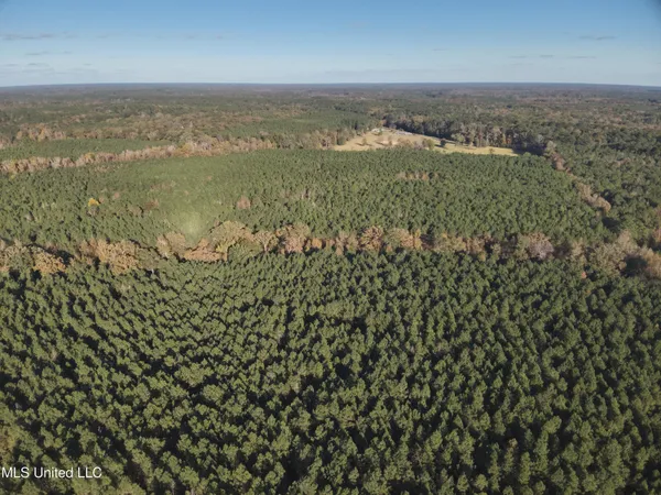 $368,125 | 4 Whiddon Road, Canton, MS 39046