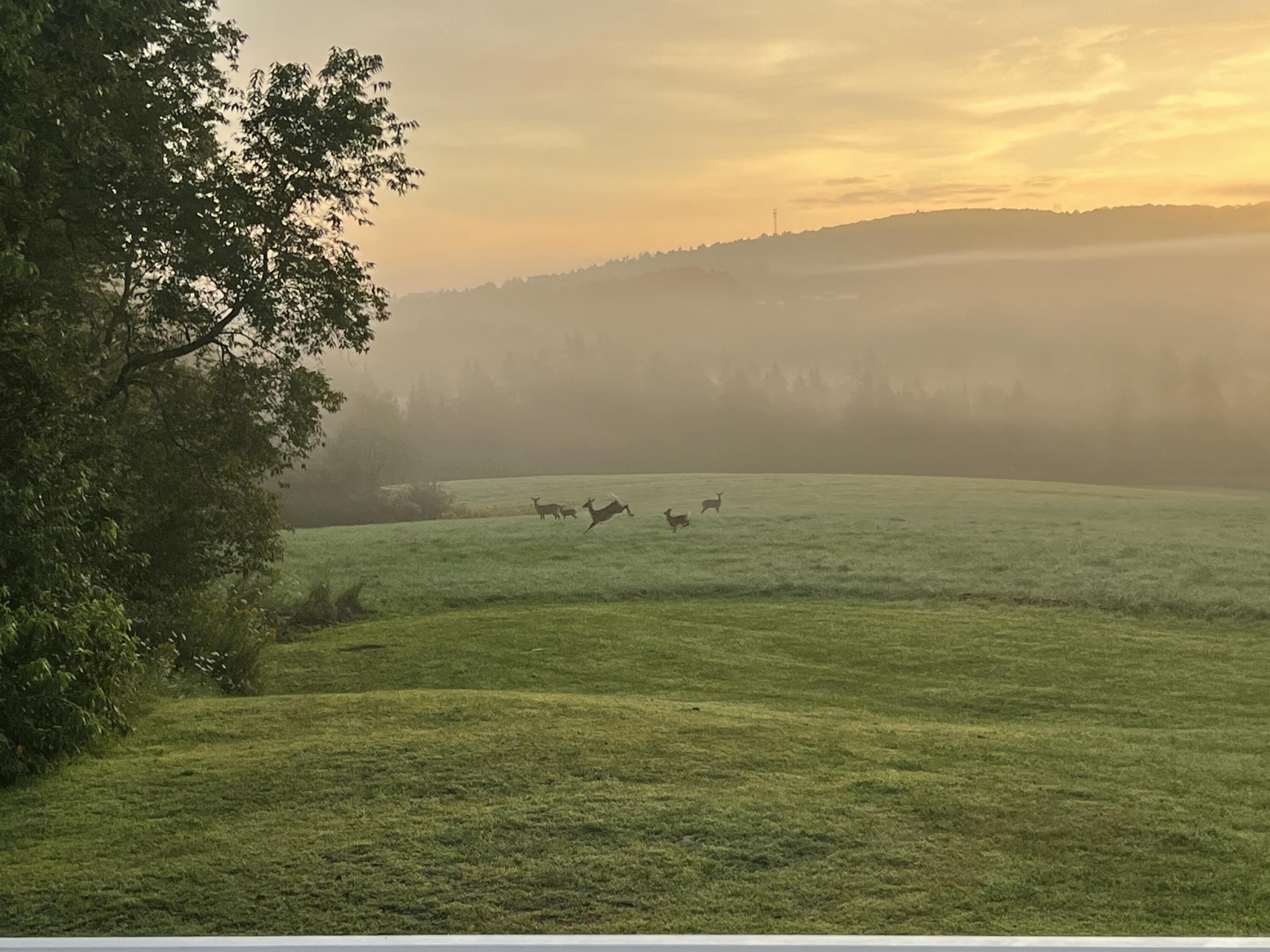 12 Mount View Lane Bucksport, ME 04416 - Photo 44 of 53 IMG_20251212_145206 (1)