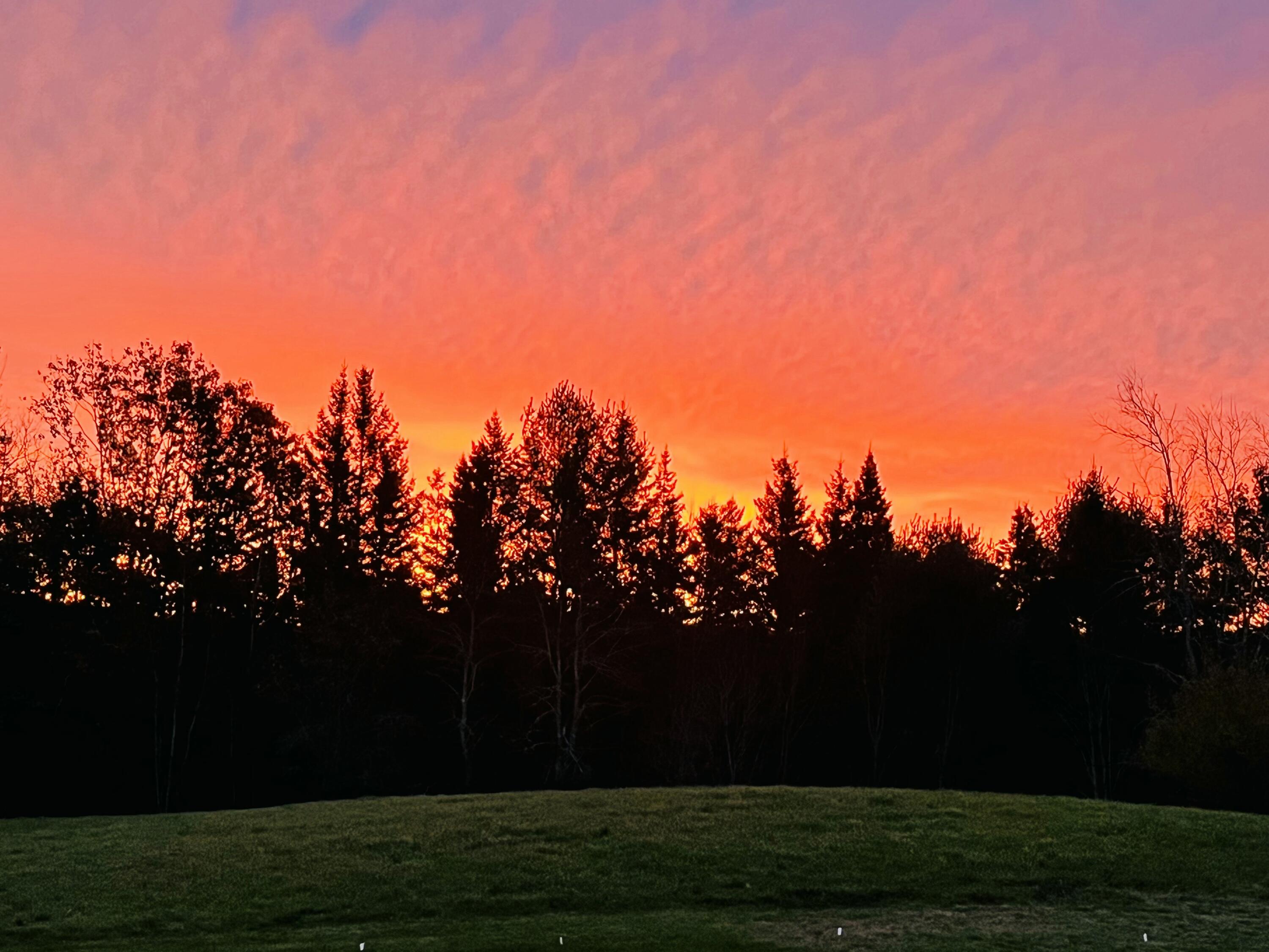 12 Mount View Lane Bucksport, ME 04416 - Photo 53 of 53 IMG_20251212_145202 (3)