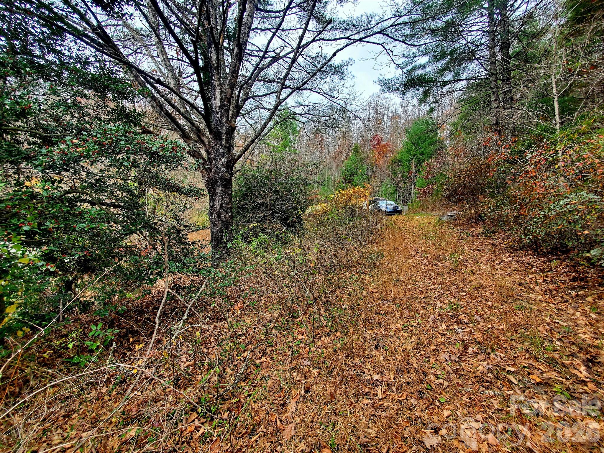 2701 Gouges Creek Road Spruce Pine, NC 28777 - Photo 12 of 20