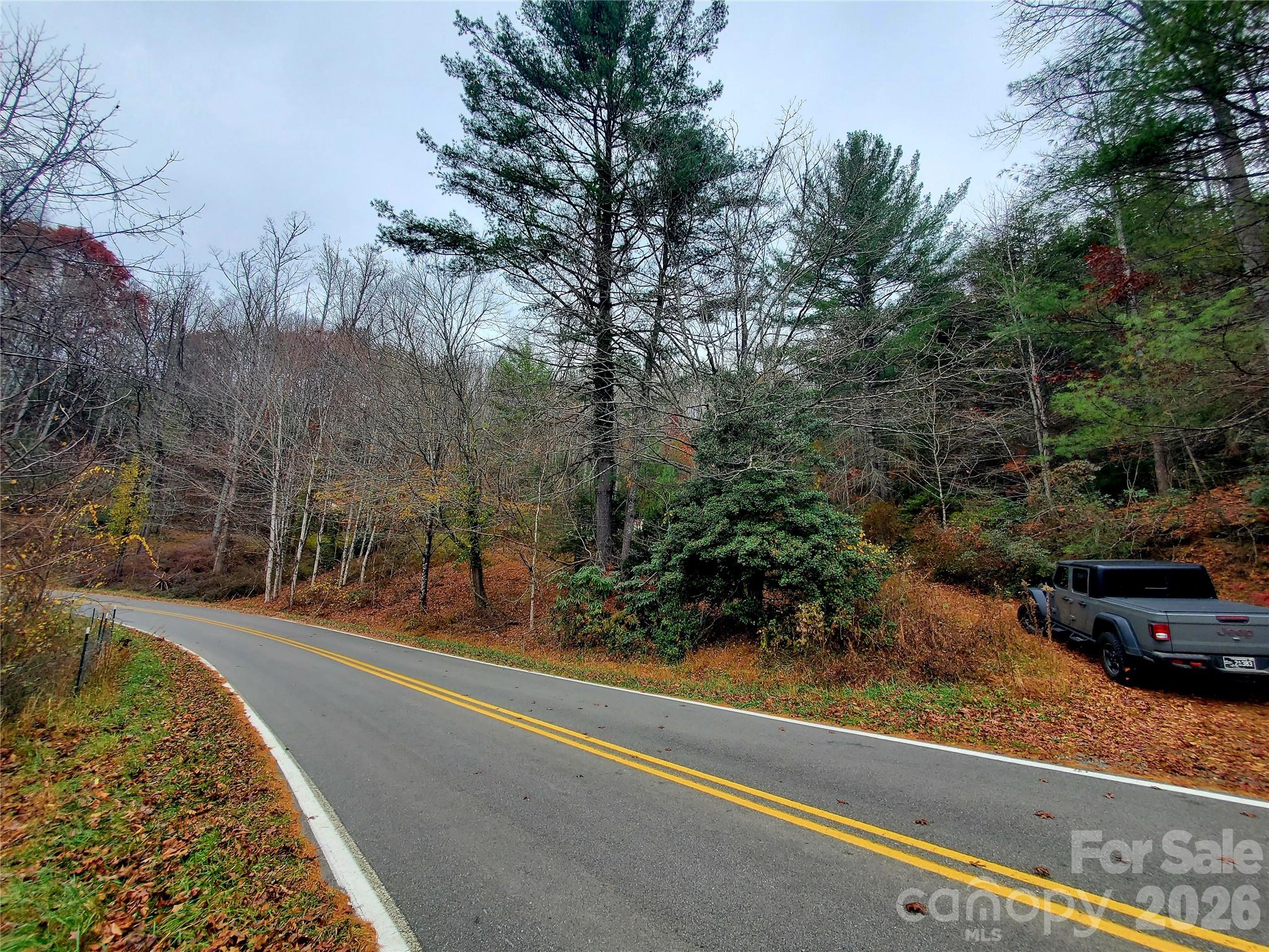 2701 Gouges Creek Road Spruce Pine, NC 28777 - Photo 13 of 20 a view of a street