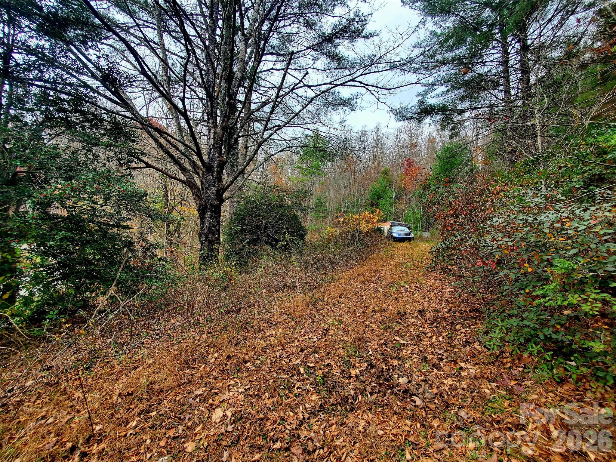 2701 Gouges Creek Road Spruce Pine, NC 28777 - Photo 14 of 20 a backyard of a house with lots of green space