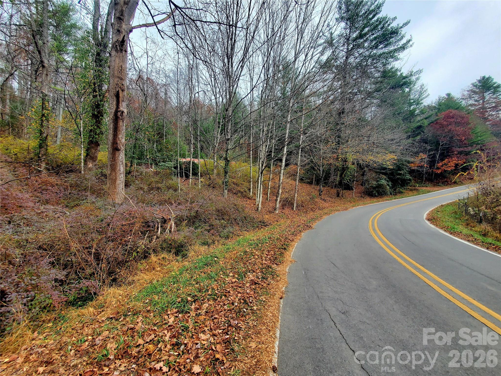 2701 Gouges Creek Road Spruce Pine, NC 28777 - Photo 17 of 20 a view of a park with large trees