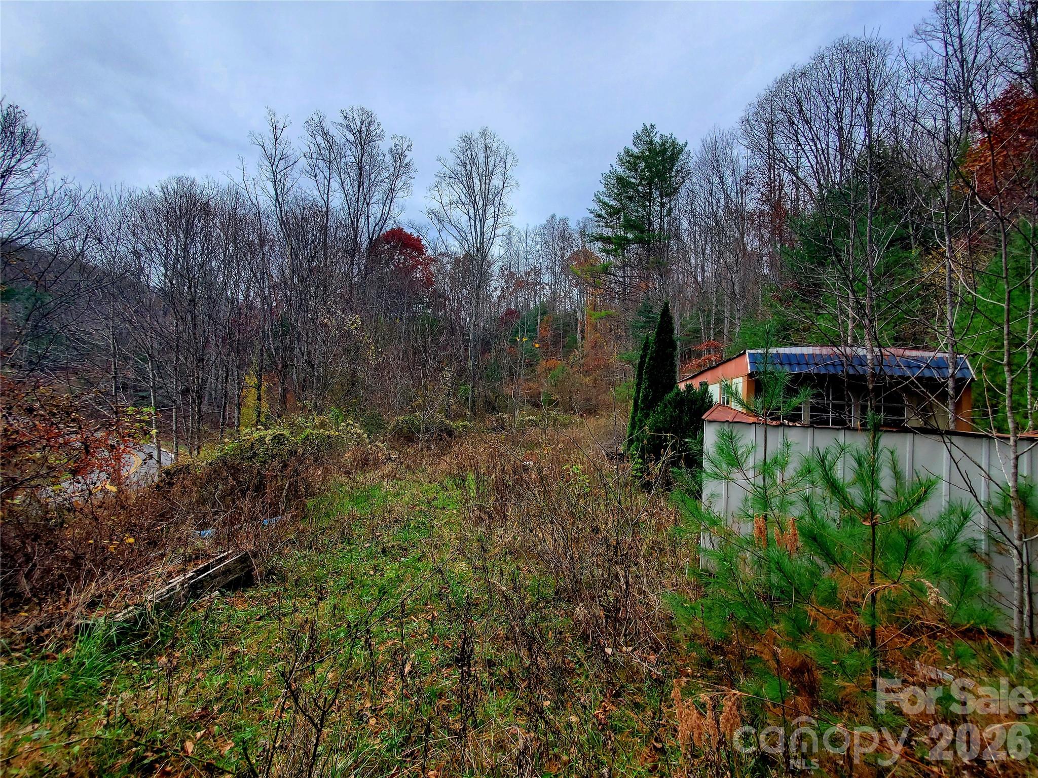 2701 Gouges Creek Road Spruce Pine, NC 28777 - Photo 2 of 20 a backyard of a house with lots of green space