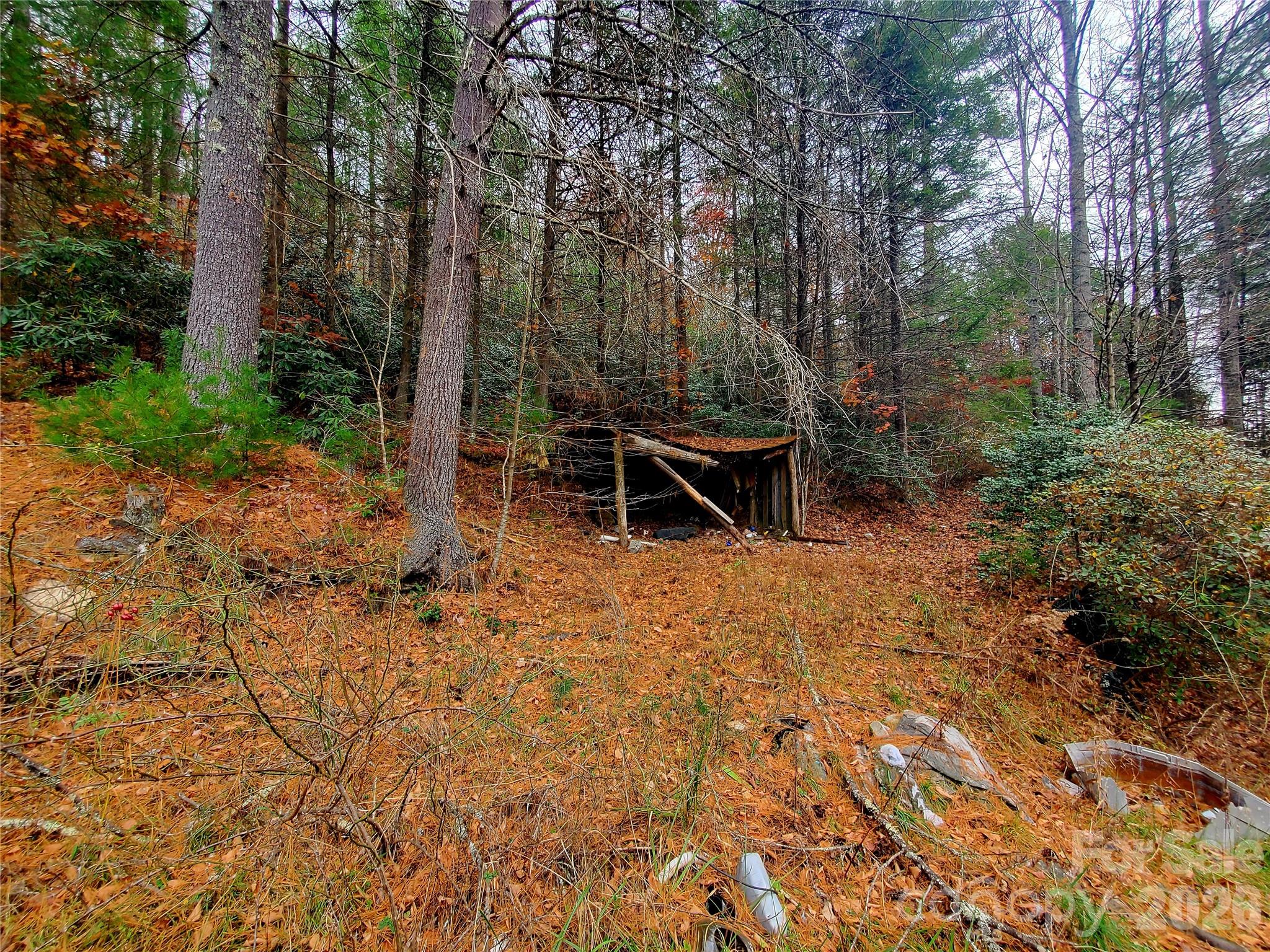 2701 Gouges Creek Road Spruce Pine, NC 28777 - Photo 4 of 20 a backyard of a house with table and chairs