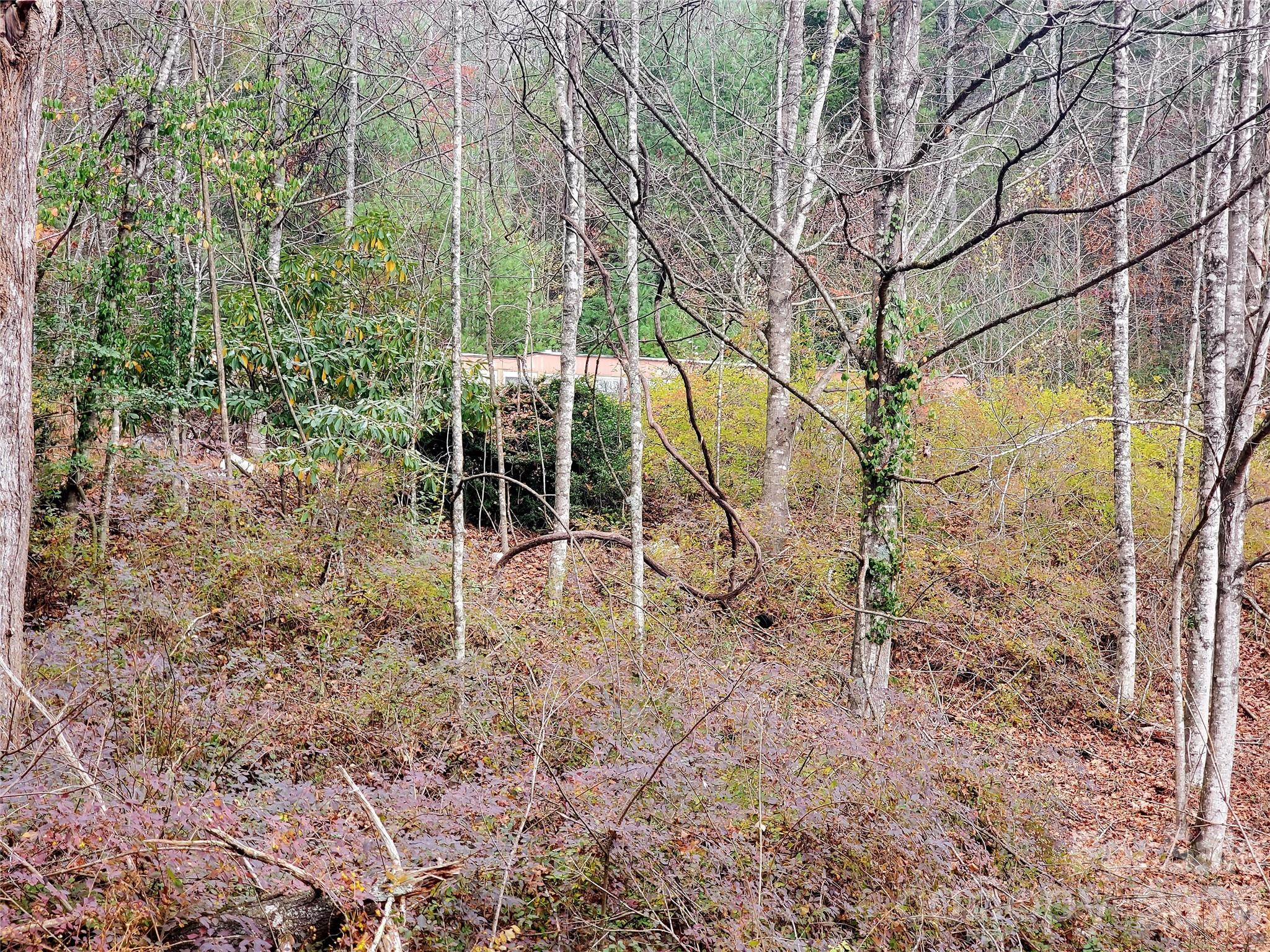 2701 Gouges Creek Road Spruce Pine, NC 28777 - Photo 7 of 20 a backyard of a house with lots of green space and chair