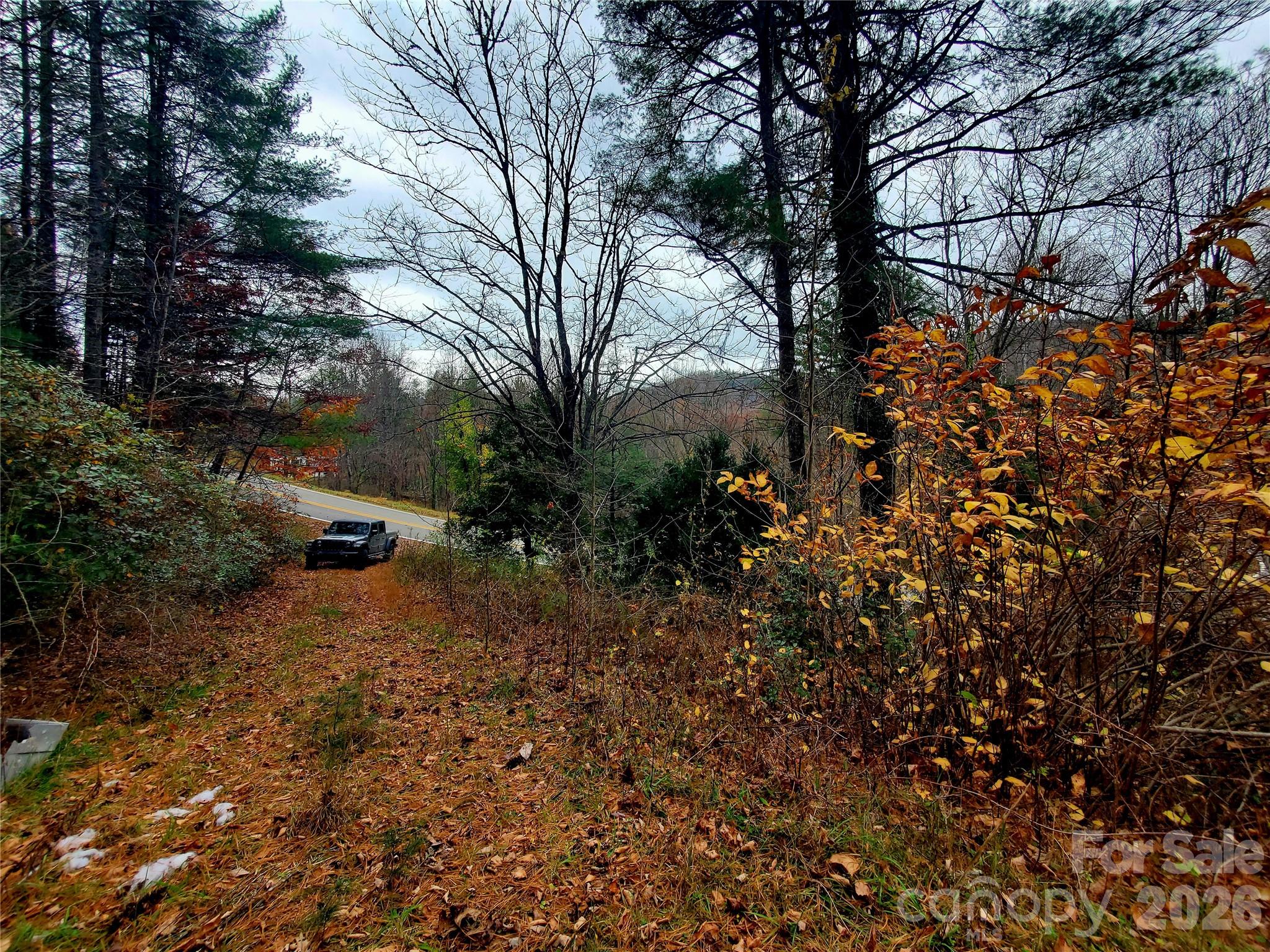2701 Gouges Creek Road Spruce Pine, NC 28777 - Photo 10 of 20 a backyard of a house with lots of green space