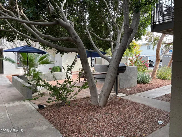 a view of a patio with table and chairs and a large tree