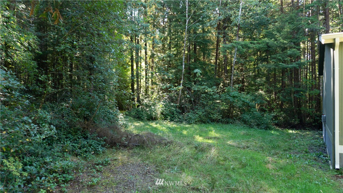 2164 Ocean Beach Road Copalis Crossing, WA 98536 - Photo 3 of 28 Gallery Image 3