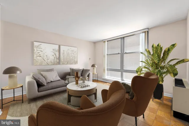 a living room with furniture potted plant and a window