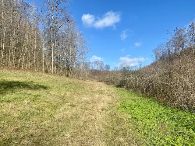 $479,000 | 4570 Highway 64, Pulaski, TN 38478