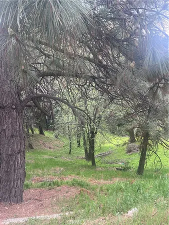 $28,500 | 0 Jewel, Crestline, CA 92325