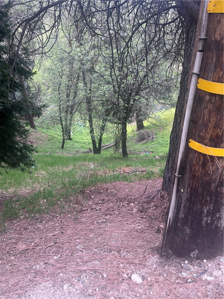 0 Jewel Crestline, CA 92325 - Photo 2 of 7 a view of a yard with a tree