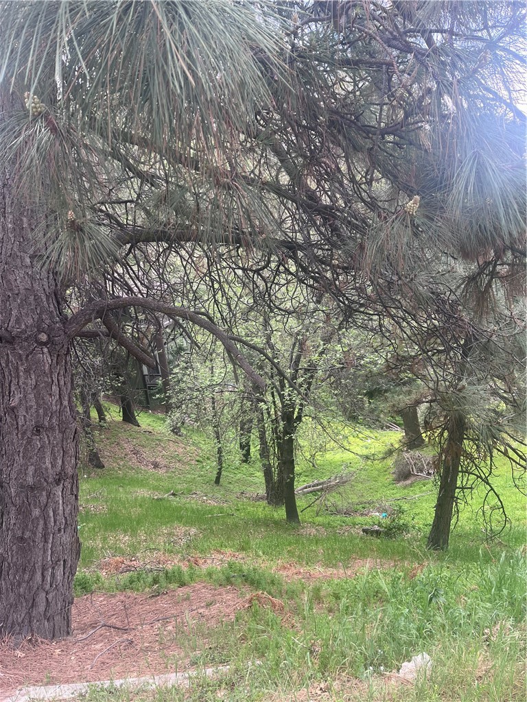 0 Jewel Crestline, CA 92325 - Photo 3 of 7 a view of backyard with green space