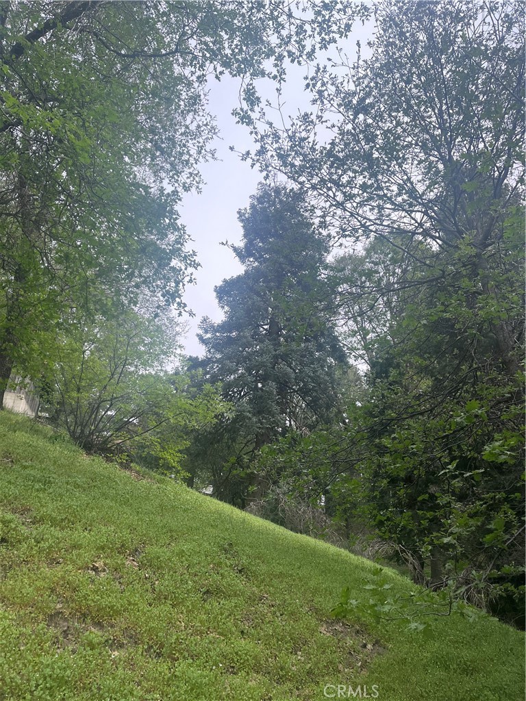 0 Jewel Crestline, CA 92325 - Photo 7 of 7 a view of a field of grass and trees