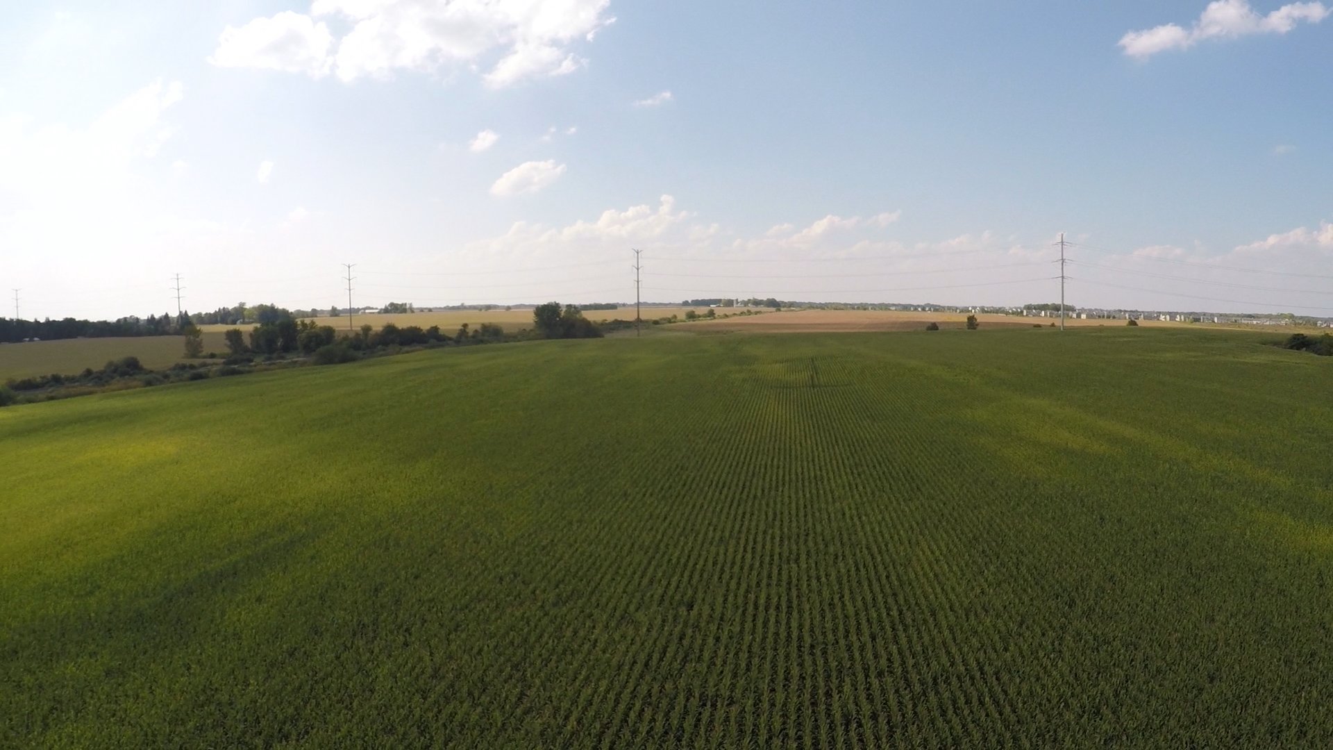 0 South Barnes Road Aurora, IL 60506 - Photo 2 of 15