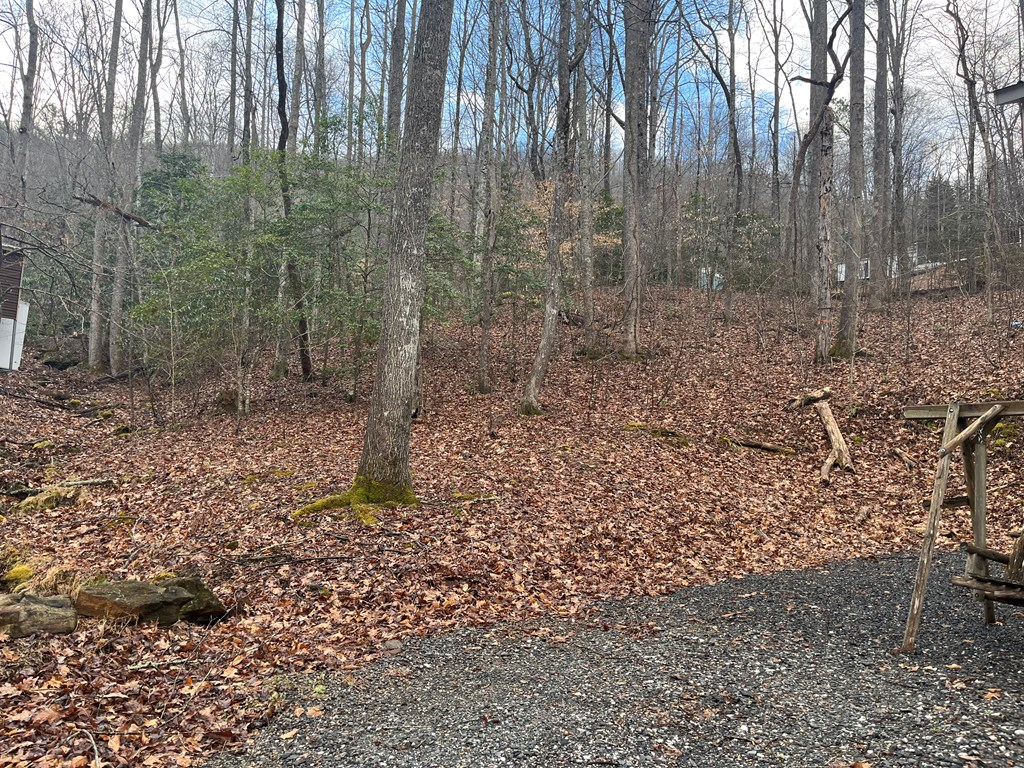 142 Gander Gap Road Hiawassee, GA 30546 - Photo 2 of 34