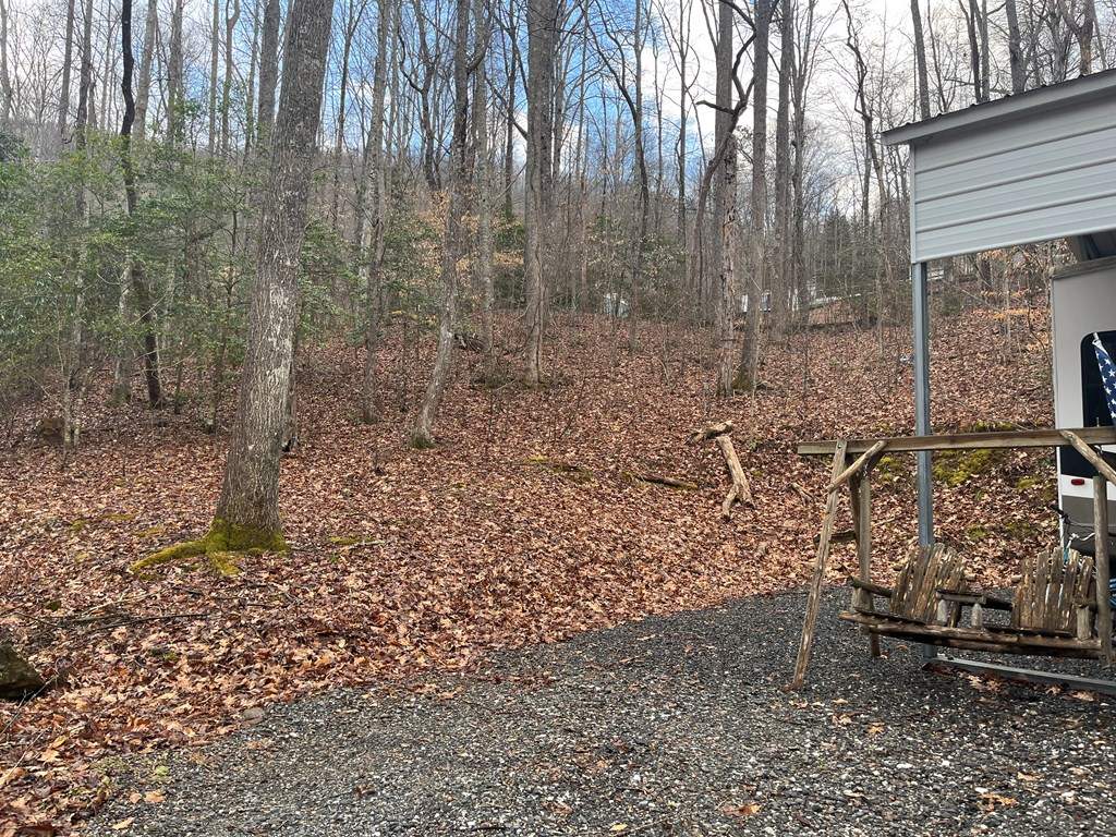 142 Gander Gap Road Hiawassee, GA 30546 - Photo 3 of 34