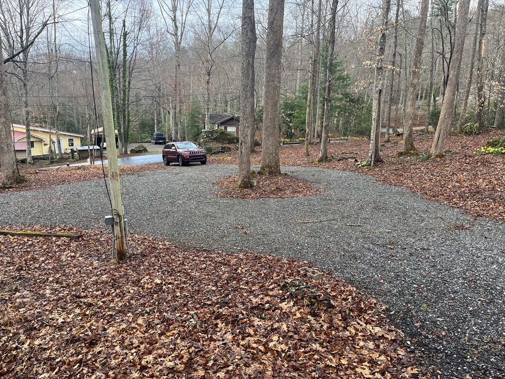 142 Gander Gap Road Hiawassee, GA 30546 - Photo 4 of 34