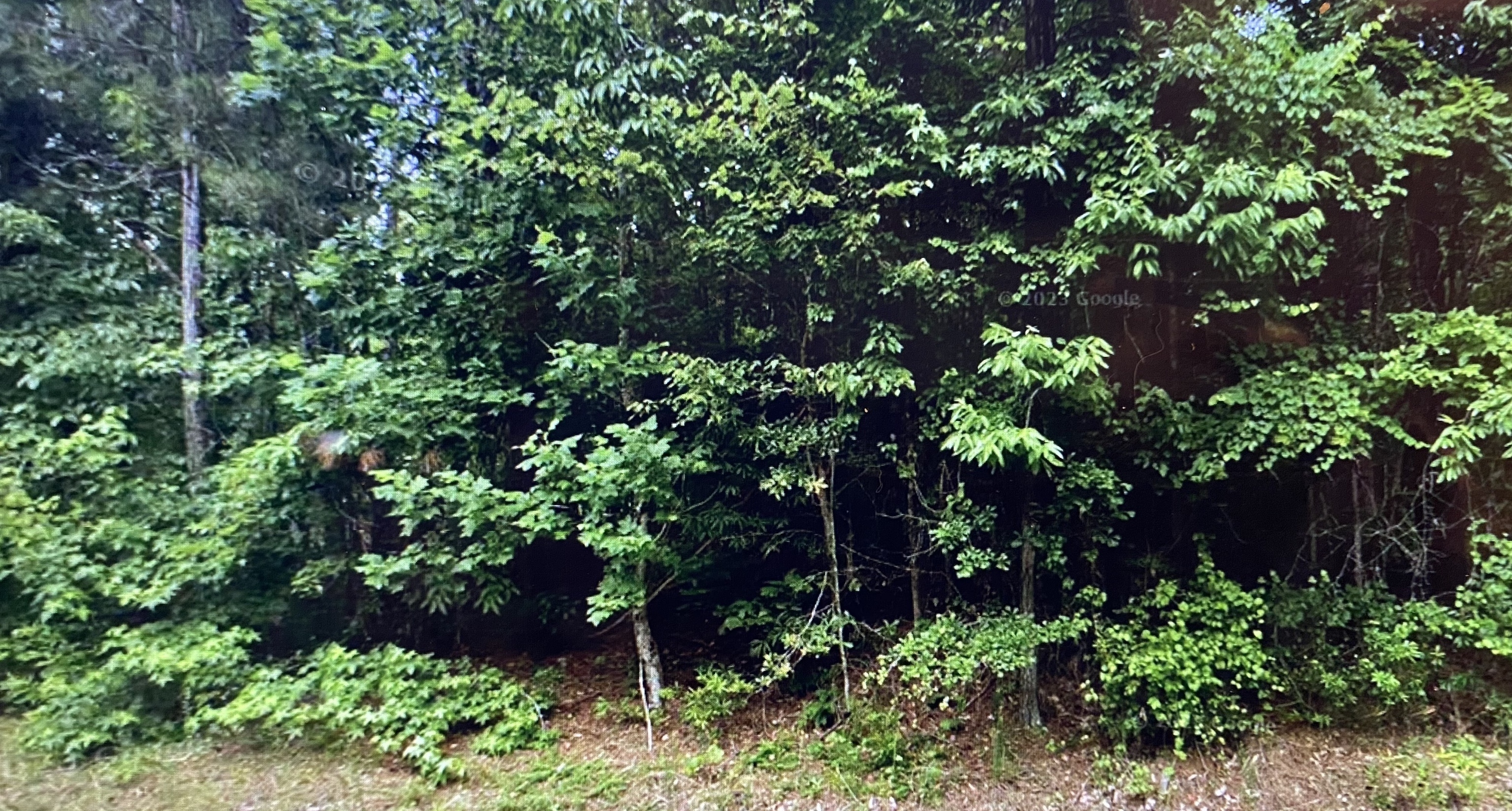 503 Mill Pond Road Newborn, GA 30056 - Photo 1 of 1 Gallery Image 1