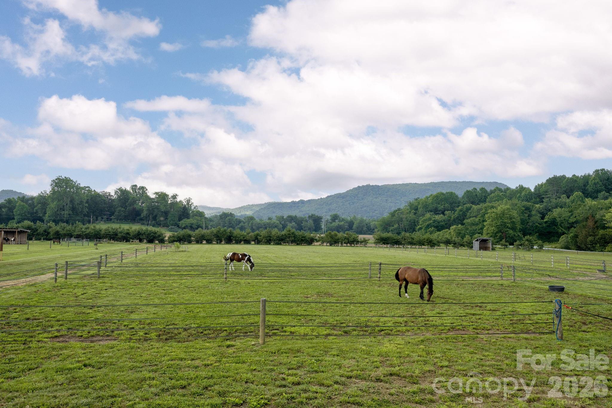 261 Bent River Farm Road Pisgah Forest, NC 28768 - Photo 41 of 48