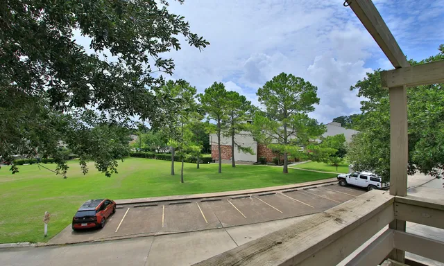 a view of a park with plants and a bench