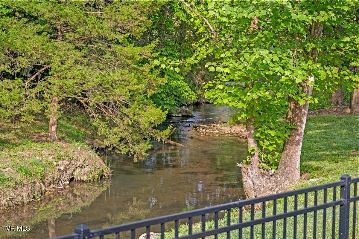 375 Middle Creek Road Afton, TN 37616 - Photo 8 of 119 64-128A1634