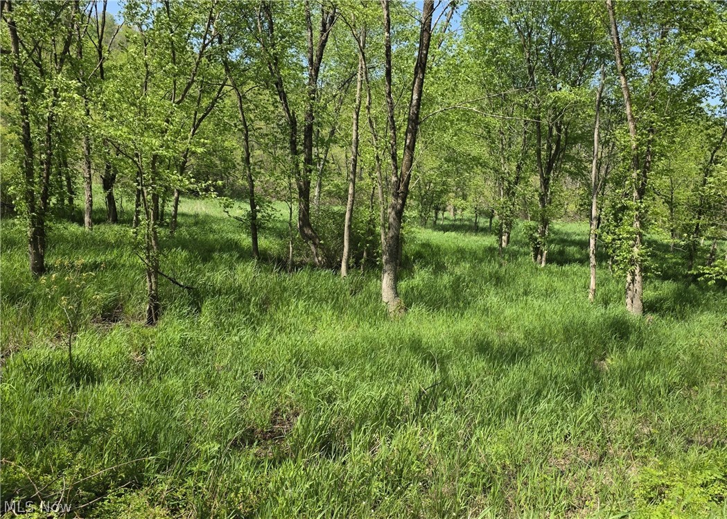 6820 Crane Run Road Cumberland, OH 43732 - Photo 4 of 17 View of acreage