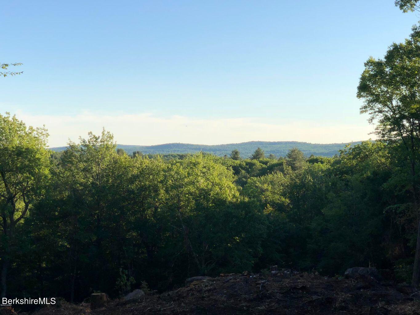 a view of a city with lush green forest