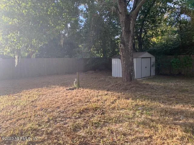 a view of a tree in the middle of a yard