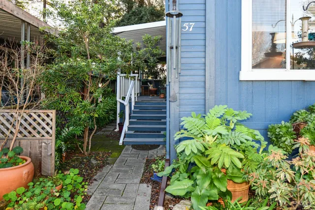a view of a backyard with plants