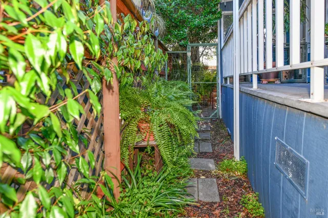 a view of a backyard with plants