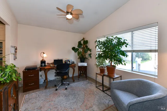 a living room with furniture plant and a window