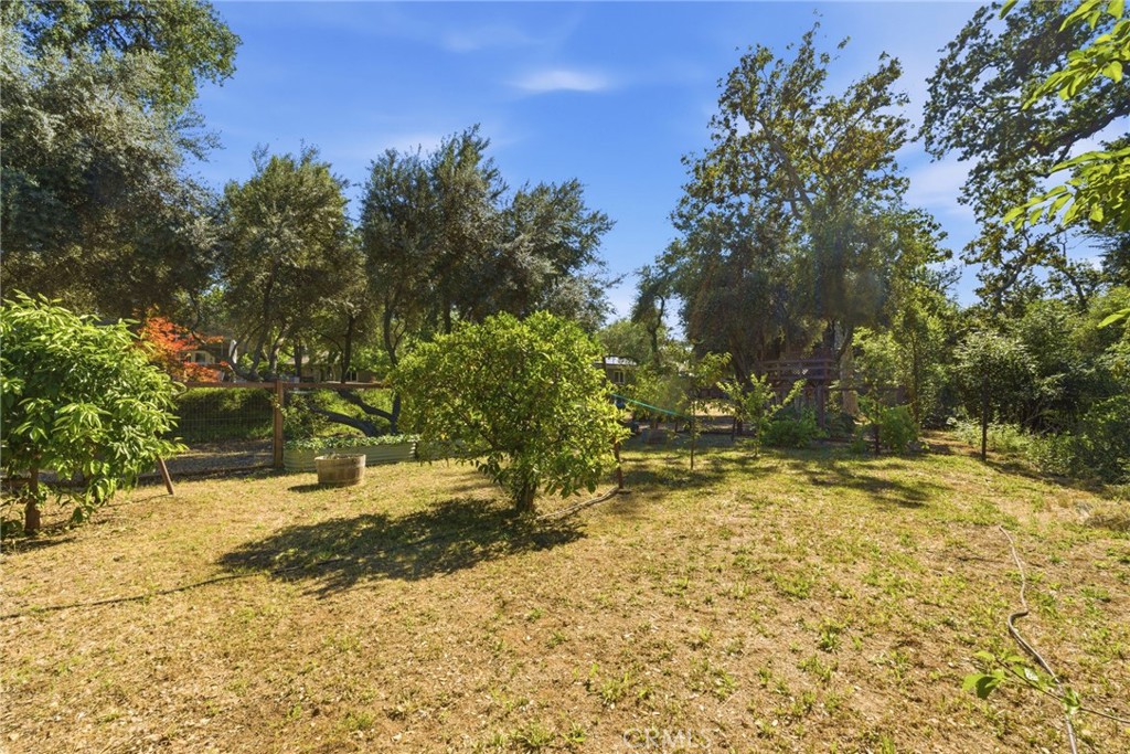 535 Stilson Canyon Road Chico, CA 95928 - Photo 46 of 73 Fruit Trees