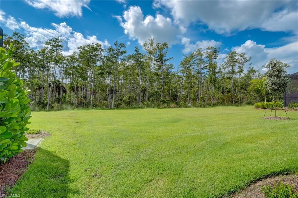 6297 Antigua Way Naples, FL 34113 - Photo 30 of 43 a view of yard with green space