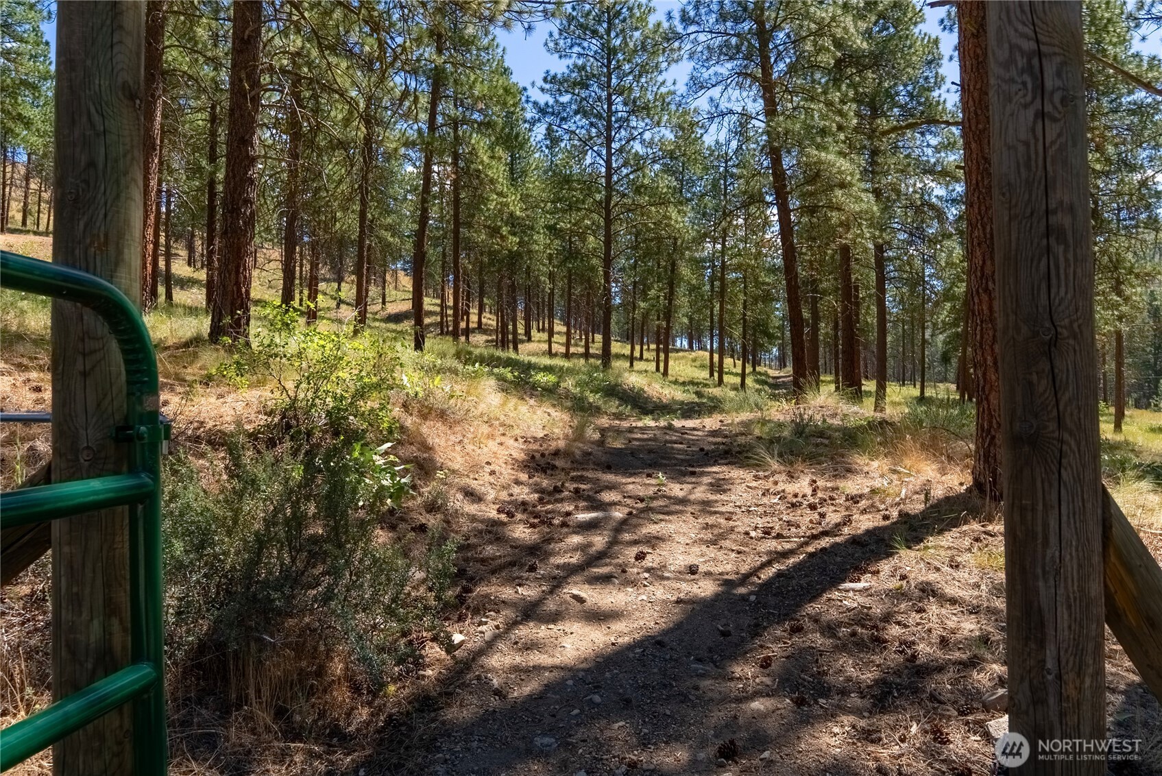 10 Sims Canyon Road Twisp, WA 98856 - Photo 34 of 39