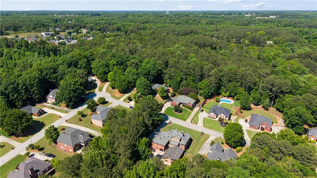 850 Ivy Ridge Drive Loganville, GA 30052 - Photo 4 of 29