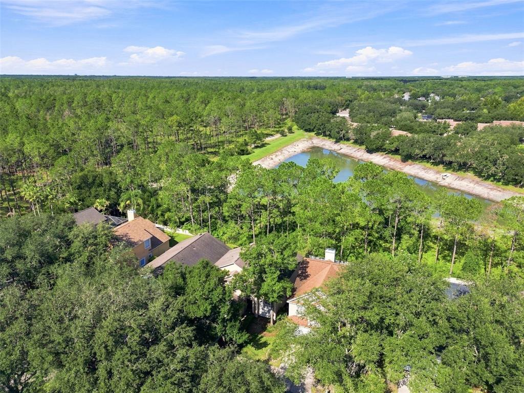 17708 Long Ridge Road Tampa, FL 33647 - Photo 61 of 100 Gallery Image 61
