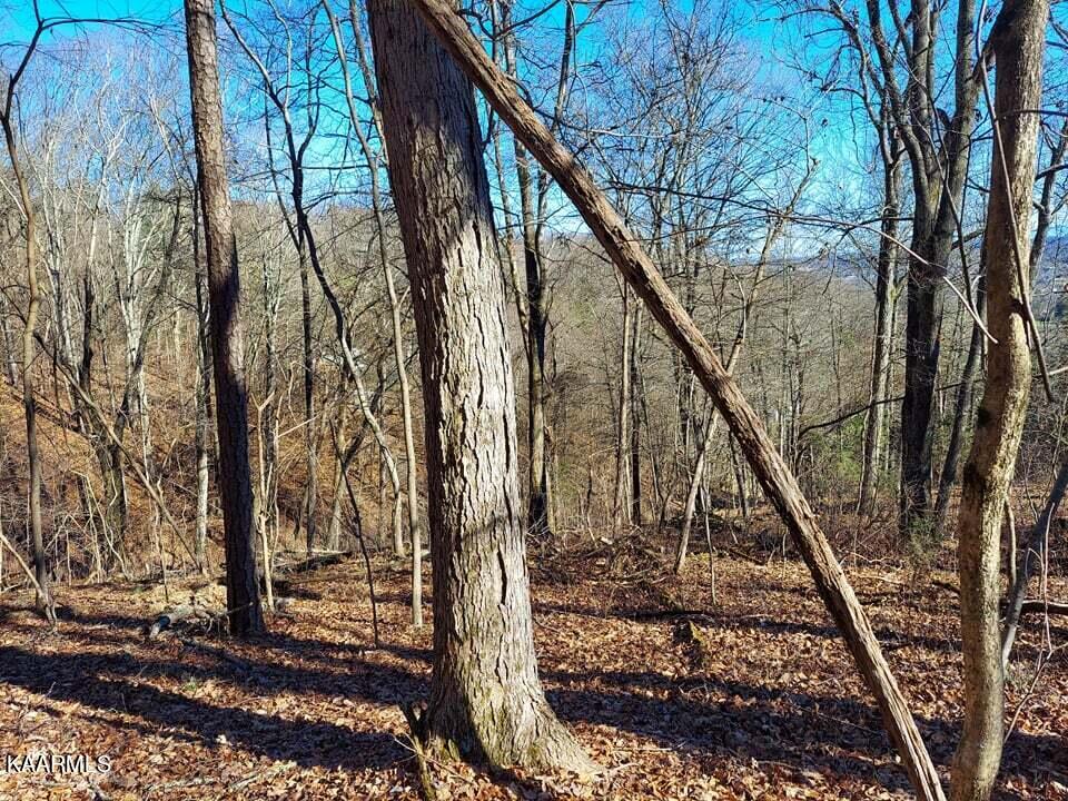 2.5-acres Tom Treece Road Morristown, TN 37814 - Photo 18 of 37 11d