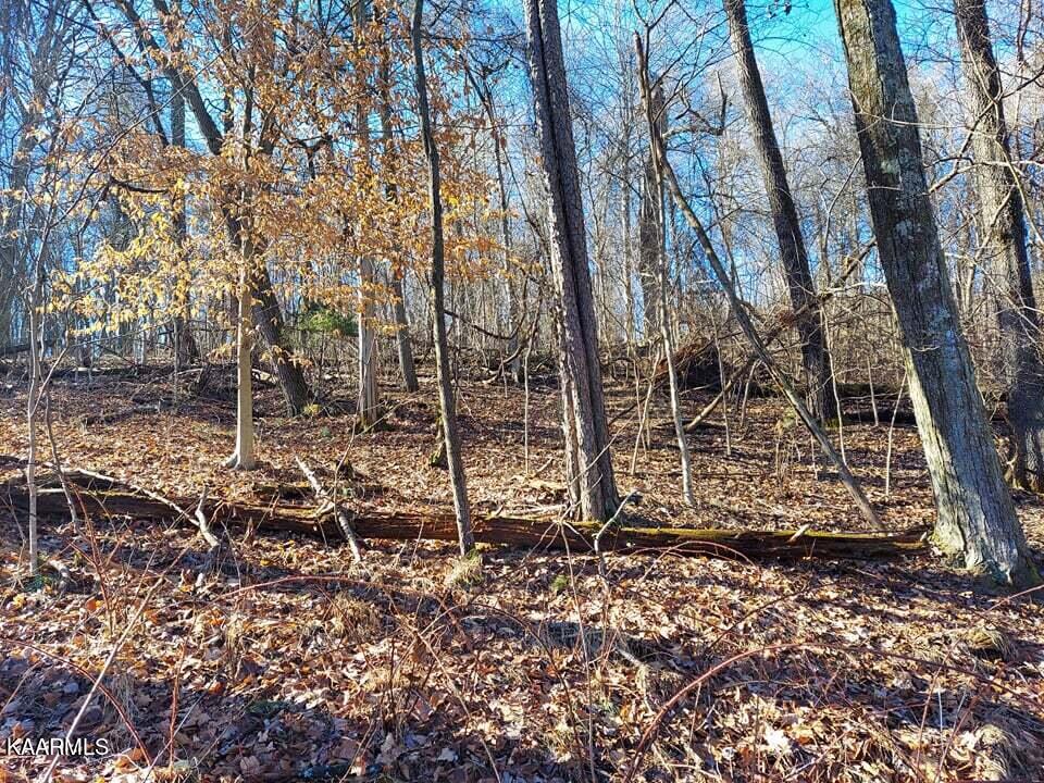 2.5-acres Tom Treece Road Morristown, TN 37814 - Photo 24 of 37 16
