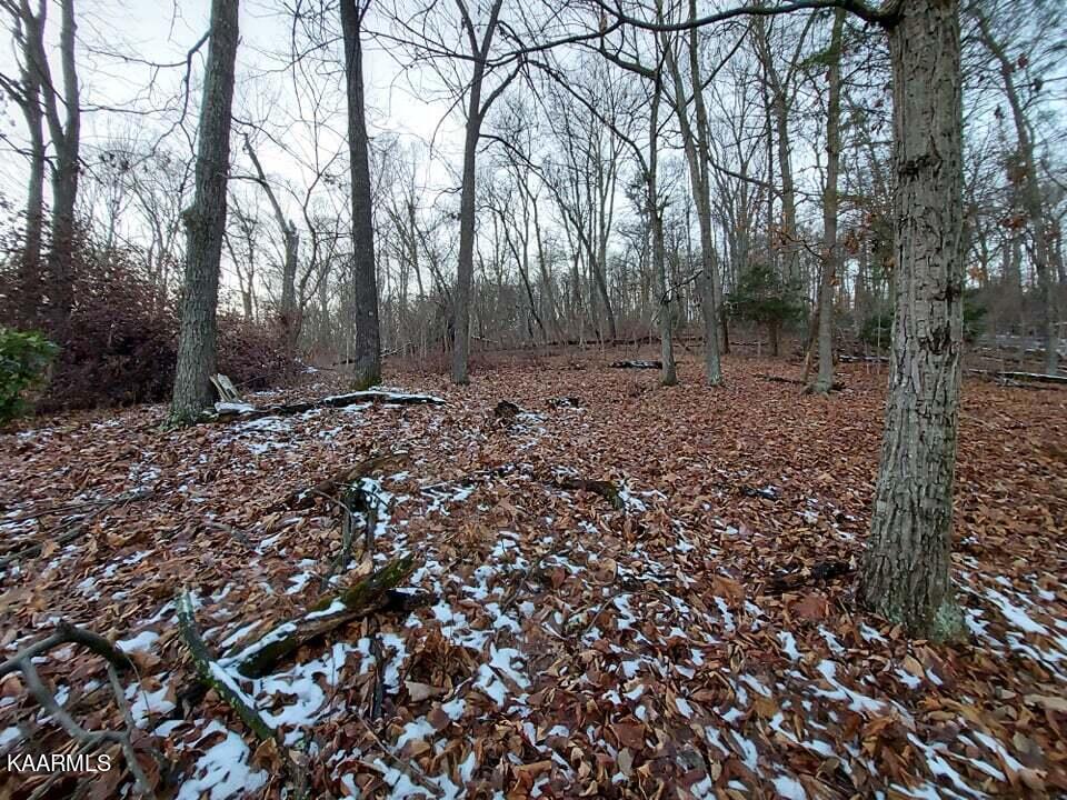 2.5-acres Tom Treece Road Morristown, TN 37814 - Photo 26 of 37 18