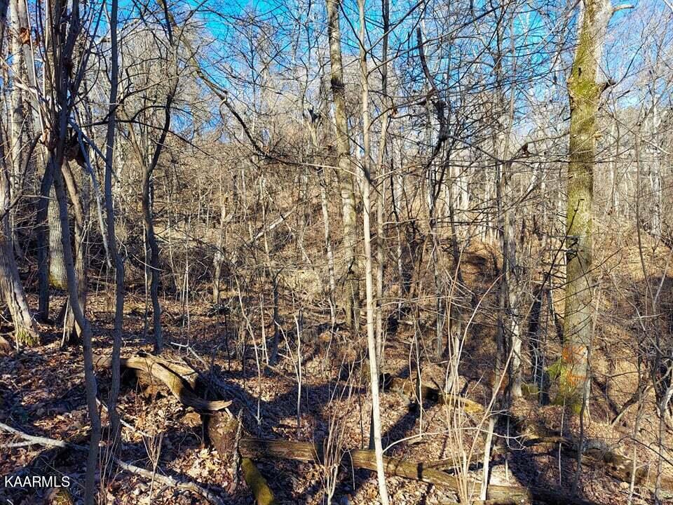 2.5-acres Tom Treece Road Morristown, TN 37814 - Photo 28 of 37 19a