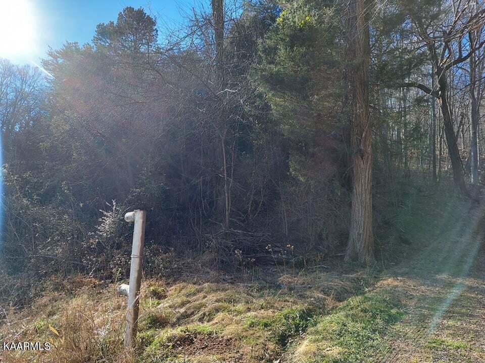 2.5-acres Tom Treece Road Morristown, TN 37814 - Photo 3 of 37 3