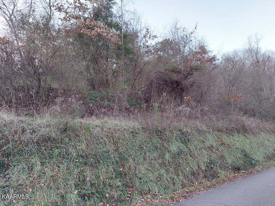 2.5-acres Tom Treece Road Morristown, TN 37814 - Photo 5 of 37 4