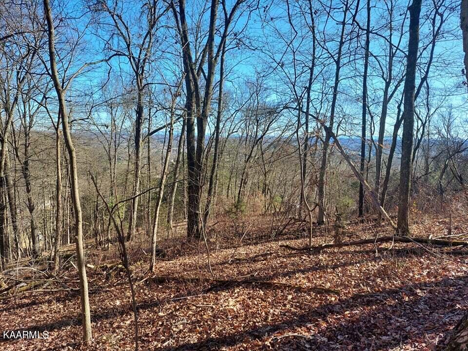 2.5-acres Tom Treece Road Morristown, TN 37814 - Photo 8 of 37 5b