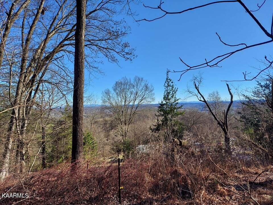 2.5-acres Tom Treece Road Morristown, TN 37814 - Photo 9 of 37 5c